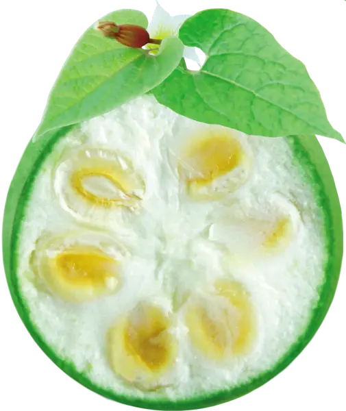 Monk fruit + stevia